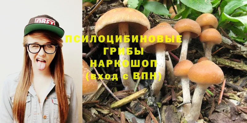 закладка  shop телеграм  Псилоцибиновые грибы Psilocybine cubensis  Белая Холуница  kraken как войти 